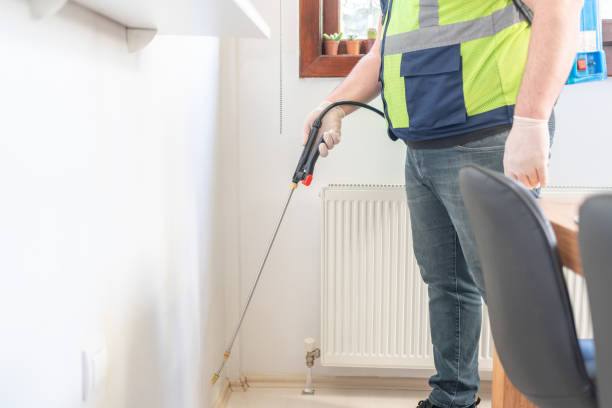 Best Wasp Removal Services  in Monterey Park, CA
