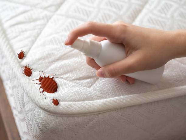 Best Mosquito Control Services  in Monterey Park, CA