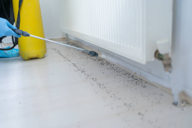Best Affordable Pest Control Services  in Monterey Park, CA