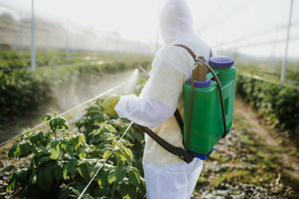 Bird Control in Monterey Park, CA